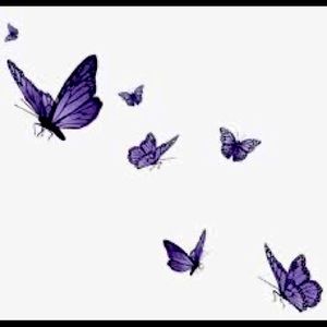 Meet your Posher, Marley